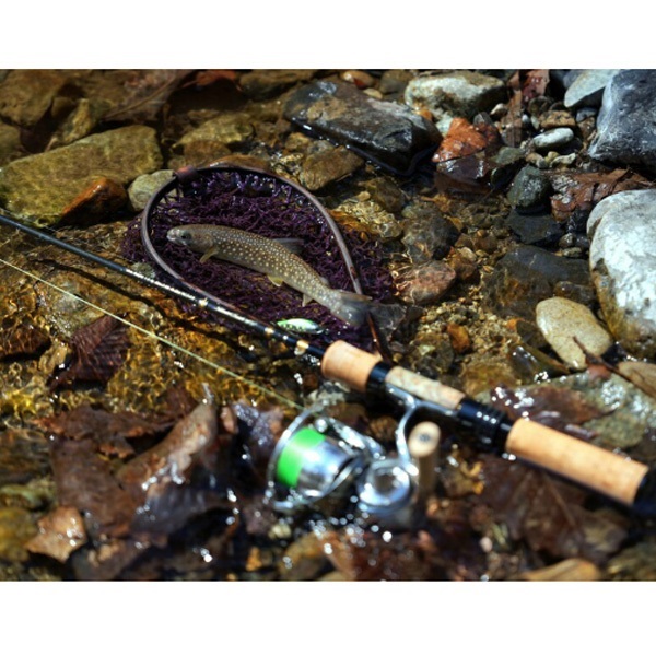 25 シルバークリーク オーラム